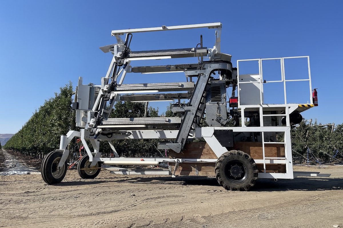 Robotic apple harvester in an orchard